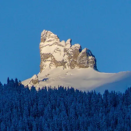 Apartment Rose Y By Interhome Wengen