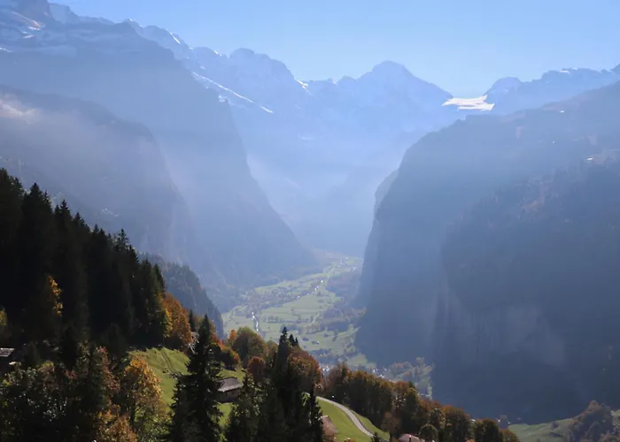 Rose Y By Interhome *