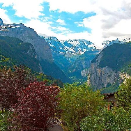 Rose Y By Interhome *