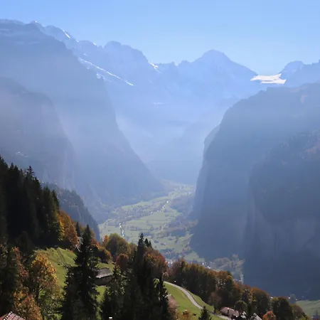 Rose Y By Interhome *